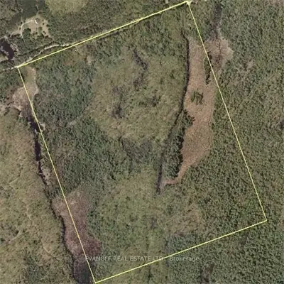 Lot 2-3 Salmon Lake Road, Trent Lakes, On K0l 1j0