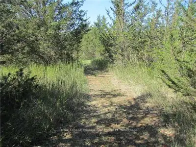 . E Of 1229 County Rd7 Road, Prince Edward County, On K0k 2t0