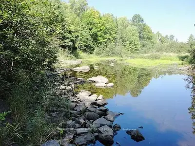 Pt Lt11 O'donnell Road, Addington Highlands, On K0h 1k0