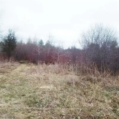 0 Walnut Street, Kawartha Lakes, On K0l 2w0