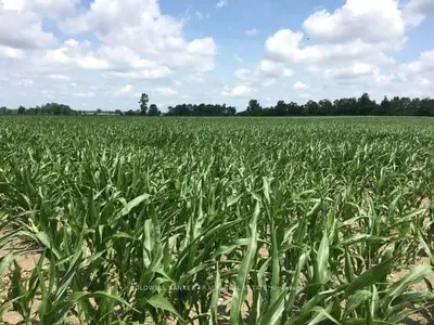 761 Hwy 7, Kawartha Lakes, On K0m 2m0