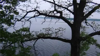 91 Cow Island, Otonabee-south Monaghan, On K0l 1b0