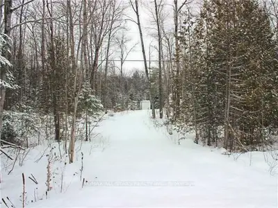 0 County Road 49, Trent Lakes, On K0m 1a0