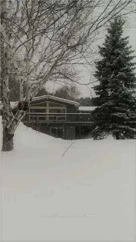 201 Black School Road, Kawartha Lakes, On K0m 2t0