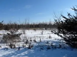 0 Babylon Road, Prince Edward County, On K0k 2t0