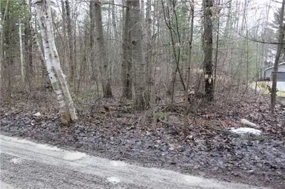 Lot 11 Stanley Road, Kawartha Lakes, On K0m 2t0