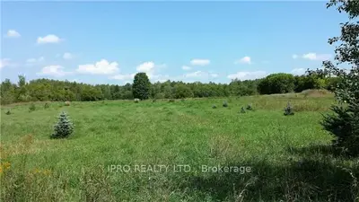 0 County Road 41, Kawartha Lakes, On K0m 2b0