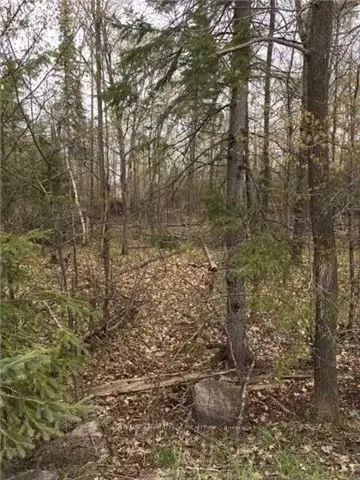 0 Bessie Road N, Trent Lakes, On K0m 1a0