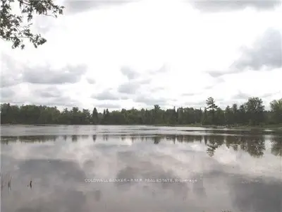 Lt 23 Cedar Bay Road, Kawartha Lakes, On K0m 2t0