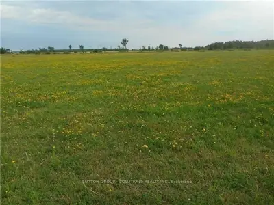 Lot 17 Centennial Park Road, Kawartha Lakes, On K0m 2t0