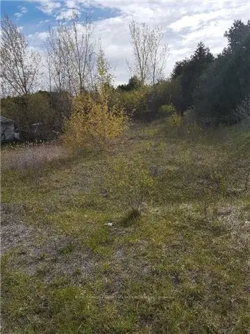 0 Kenedon Drive, Kawartha Lakes, On K0l 2w0