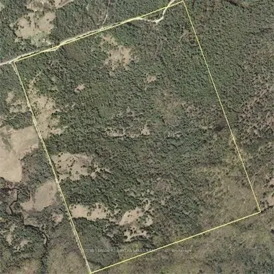 0 Dutch Line Road, Trent Lakes, On K0m 2a0
