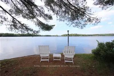 1 Birch Island, Havelock-belmont-methuen, On K0l 1z0