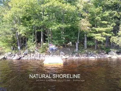 31 East Wao, Trent Lakes, On K0l 1j0