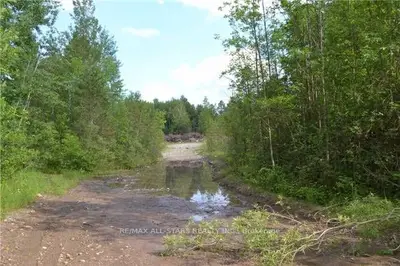 0 Tate's Bay Road, Trent Lakes, On K0m 1a0