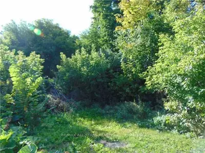 168 East Street N, Kawartha Lakes, On K0m 1a0