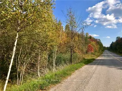 0 County 46 Road, Havelock-belmont-methuen, On K0l 1a0