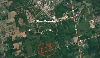 114 Mission Road, Blue Mountains, On L9y 0p6