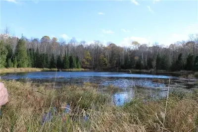 0 Conc 8 & 9 Lot 16, Trent Lakes, On K0m 2a0