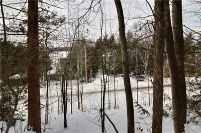 51 Helen Drive, Kawartha Lakes, On K0l 2w0