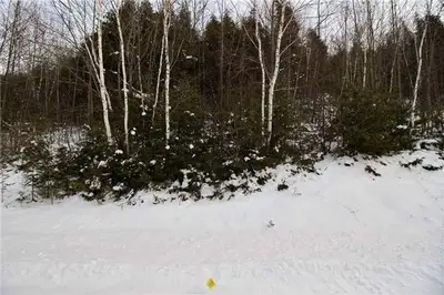 49 Helen Drive, Kawartha Lakes, On K0l 2w0