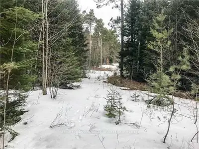 0 Howard Junction Road, Kawartha Lakes, On K0m 2a0