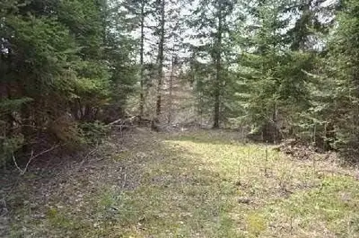 46 Kozy Kove Road, Kawartha Lakes, On K0m 1c0
