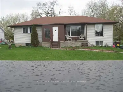 229 Pleasant Point Road, Kawartha Lakes, On K9v 4r5