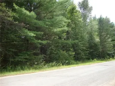 0 Lot 53,watson/austin Drive, Kawartha Lakes, On K0m 2a0