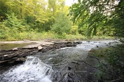 Happy Days Trail, Kawartha Lakes, On, K9v 4w9