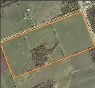 0 Hollowtree Road, Kawartha Lakes, On K0m 1g0