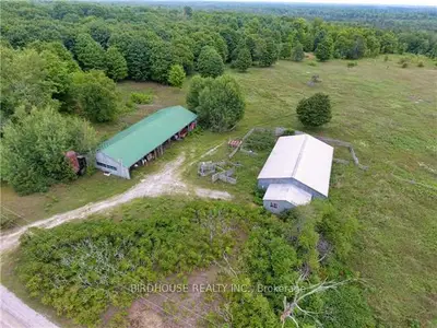 225 Woodcock Line, Kawartha Lakes, On K0m 2k0