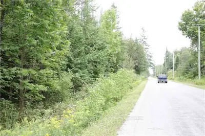 00a Bass Lake Road, Trent Lakes, On K0m 1a0