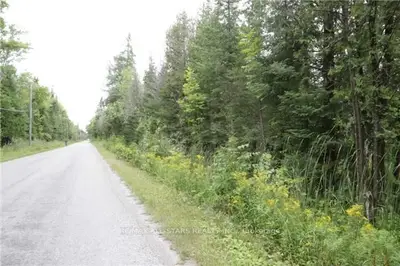 00b Bass Lake Road, Trent Lakes, On K0m 1a0