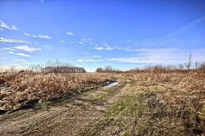 50 Westlake Court, Kawartha Lakes, On K0m 1n0