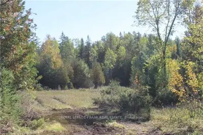 0 County Road 49 Road, Kawartha Lakes, On K0m 1a0