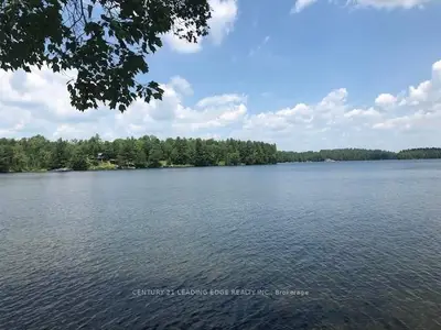 79 Harvey Cove Lane, North Kawartha, On K0l 1a0