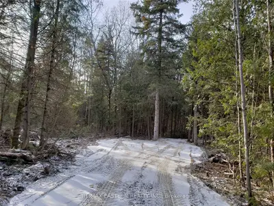 0 4th Line Belmont, Havelock-belmont-methuen, On K0l 1z0