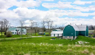 3925 County Road 1 Road, Prince Edward County, On K0k 1t0