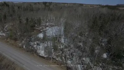 0 Birch Point Road, Kawartha Lakes, On K0m 2t0