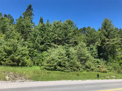 8864 Highway 28, North Kawartha, On K0l 1a0