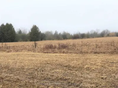 0 Scotch Line Road, Kawartha Lakes, On K0m 1l0