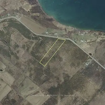 3394 County Rd 13 Road, Prince Edward County, On K0k 2t0