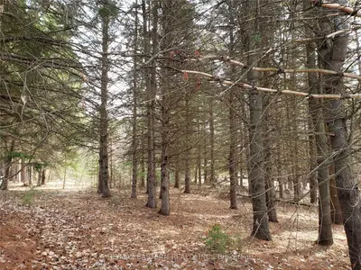 615 8th Concession Road, Havelock-belmont-methuen, On K0l 1z0