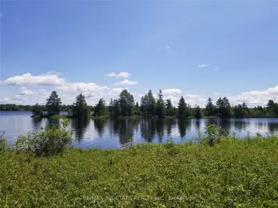 0 Raby's Shore Road, Kawartha Lakes, On K0m 1n0