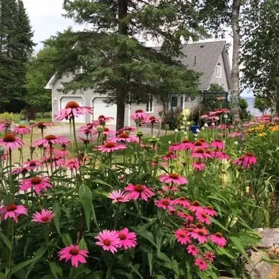 145 LAKEVIEW COTTAGE Road, Kawartha Lakes, ON K0M 2B0