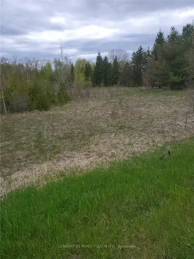 159 Valentia Road Lot #20, Kawartha Lakes, On K0m 2c0