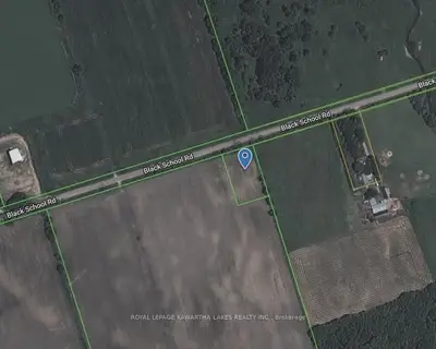 0 Black School Road, Kawartha Lakes, On K0m 2t0
