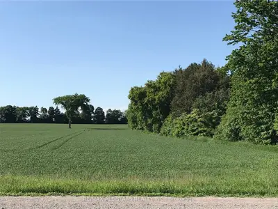 Lot 4 Little Britain Road, Kawartha Lakes, On K0m 2j0