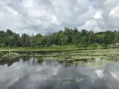 0 Fire Route 104 Route, Trent Lakes, ON K0M 1A0
